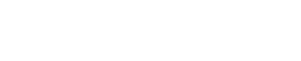 Logo RealLifeCam