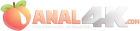 Anal4k Logo