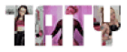 TeaseAndThankYou Logo
