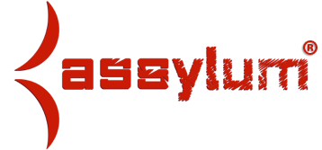 Logo Assylum