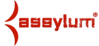 Assylum Logo