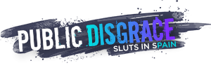 Logo Public Disgrace