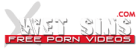 Wet Sins Logo