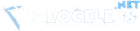 VideoCelebs Logo
