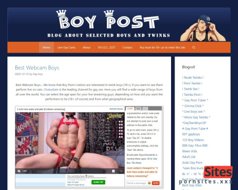Zo ziet Boypost Blog eruit