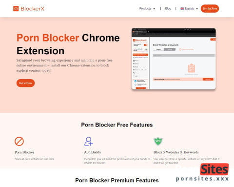 This is what Chrome Adult Blocker looks like
