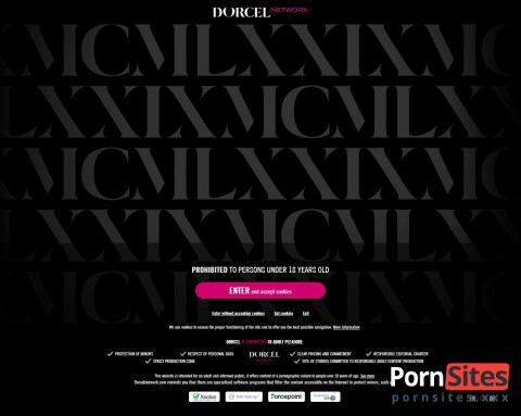 Zo ziet Dorcel Network eruit