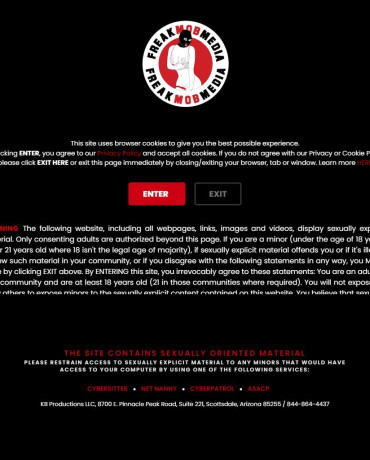 FreakMob Media - 