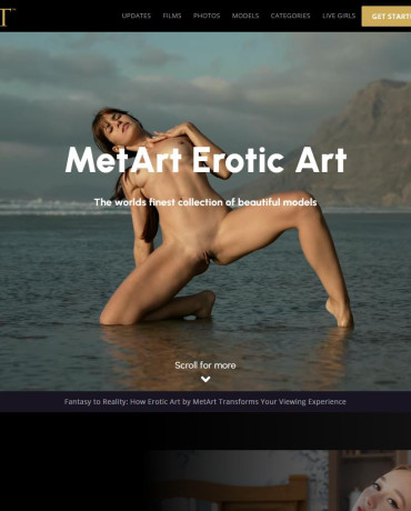 Met Art