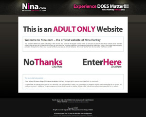 This is what Nina.com looks like