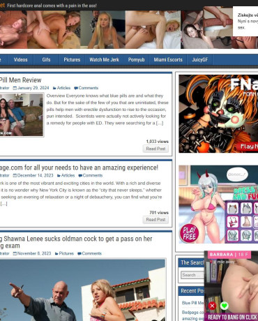 Painal.net