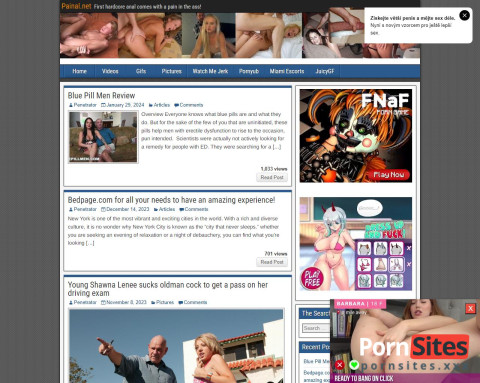 Painal.net website van 25. April, 2024